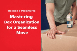 Becoming a Packing Pro: Mastering Box Organization for a Seamless Move